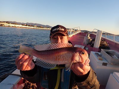 アマダイ(アカアマダイ)