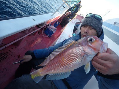 アマダイ(アカアマダイ)