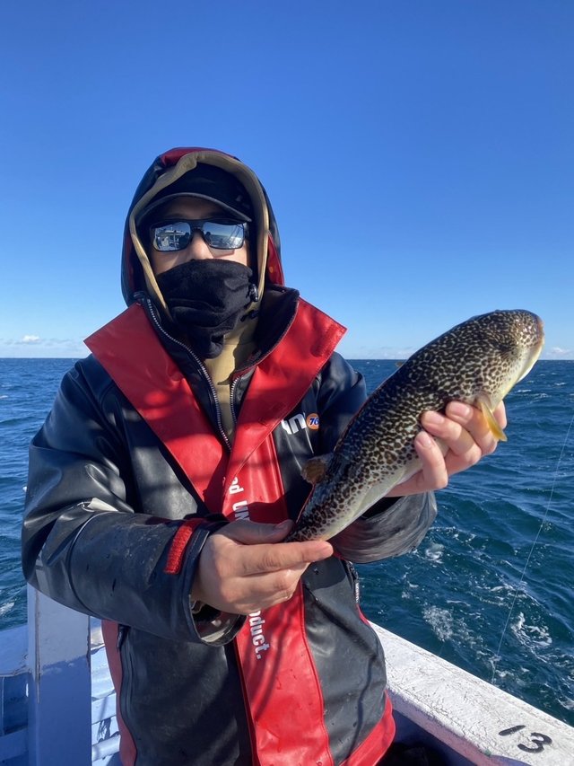 ショウサイフグ