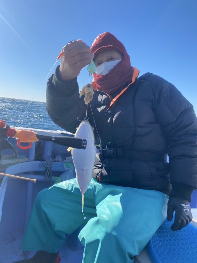 ショウサイフグ