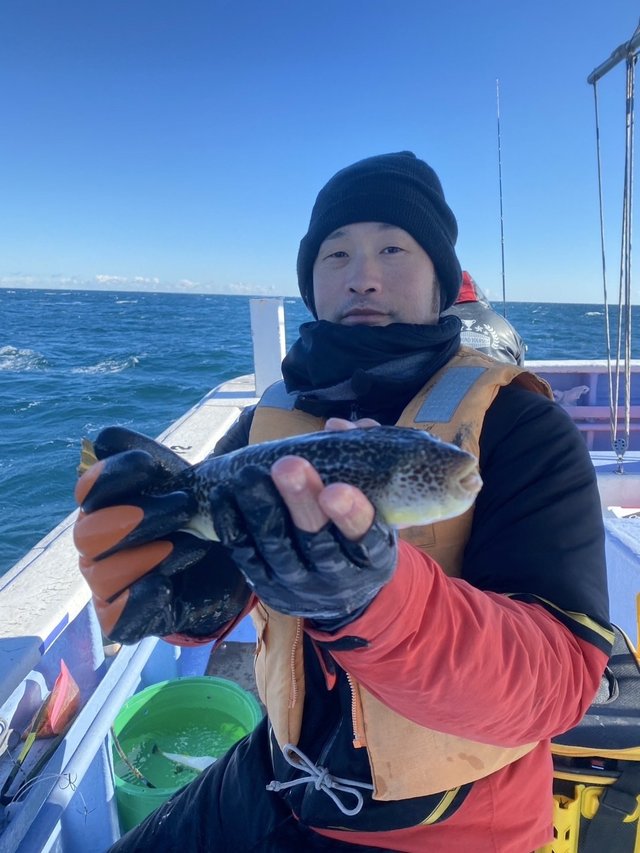 ショウサイフグ