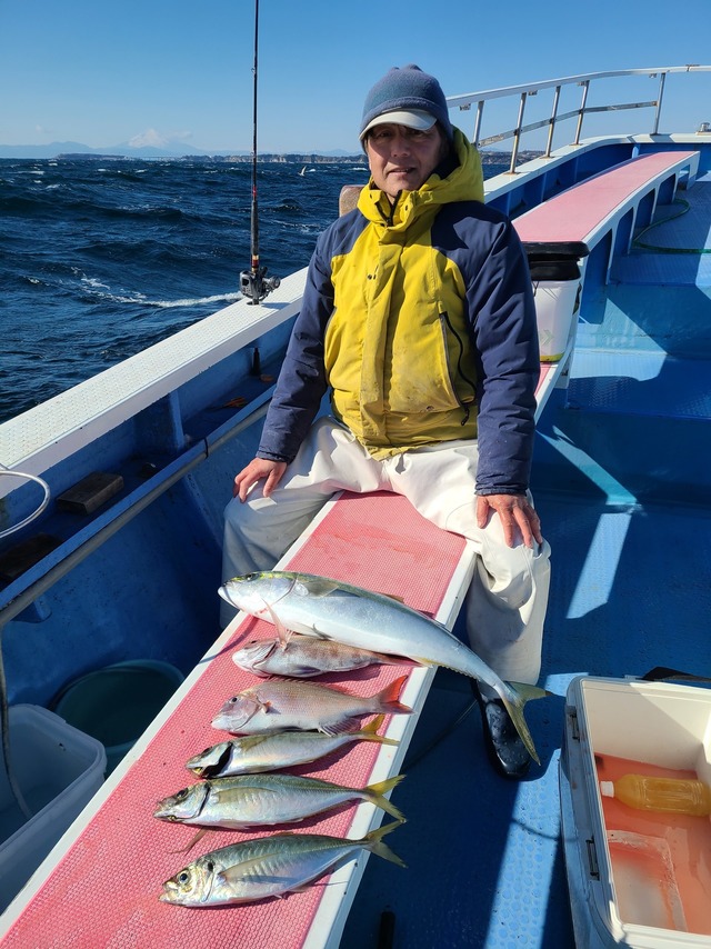 マダイ・マアジ・ワラサ(ブリ)