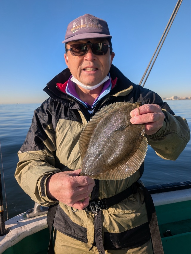 カレイ(マコガレイ)