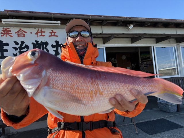 アマダイ(アカアマダイ)