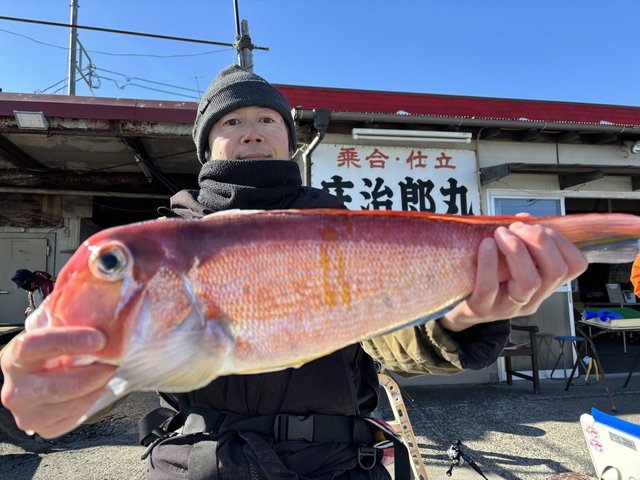 アマダイ(アカアマダイ)