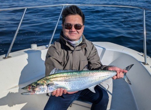 シーバス(スズキ)