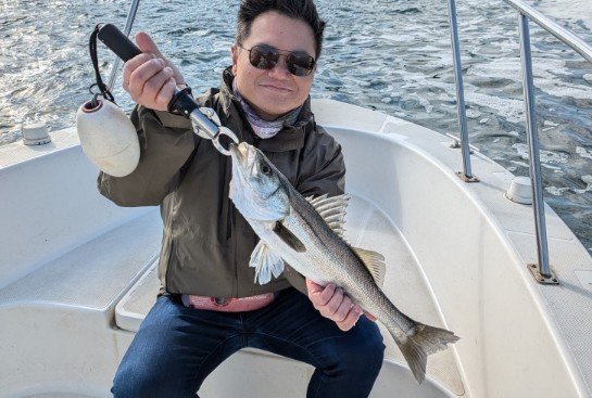 シーバス(スズキ)