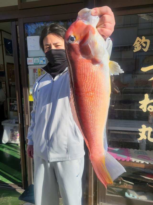 アマダイ(アカアマダイ)