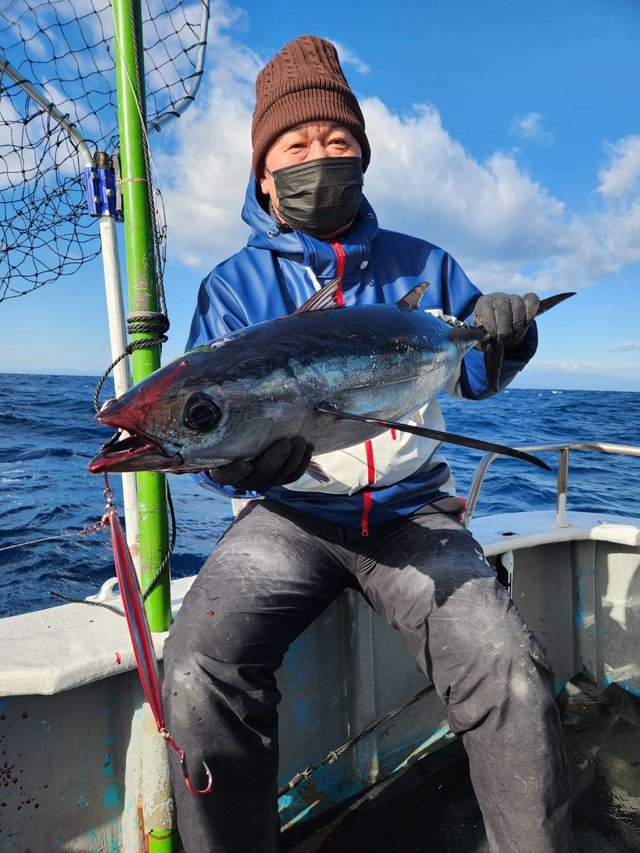 トンボ(ビンナガ)