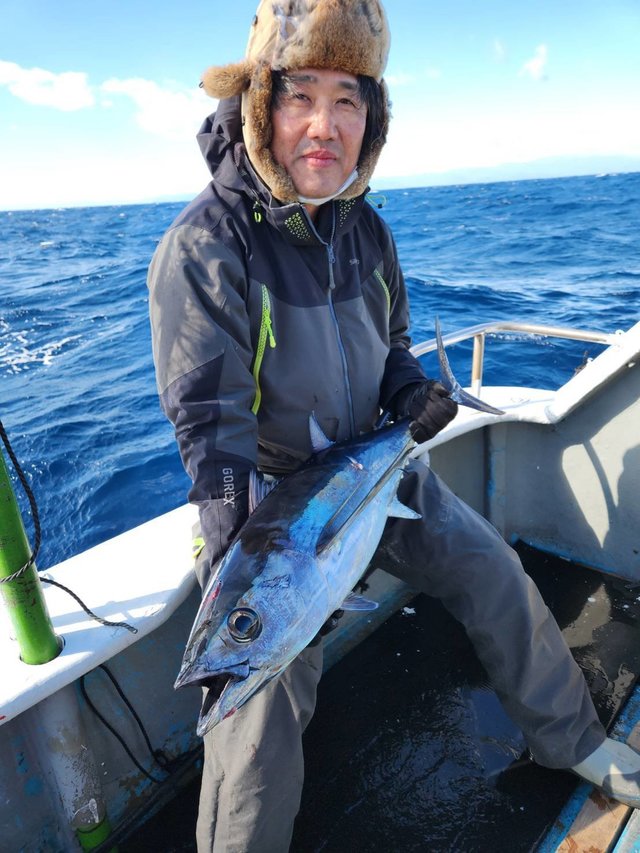 トンボ(ビンナガ)