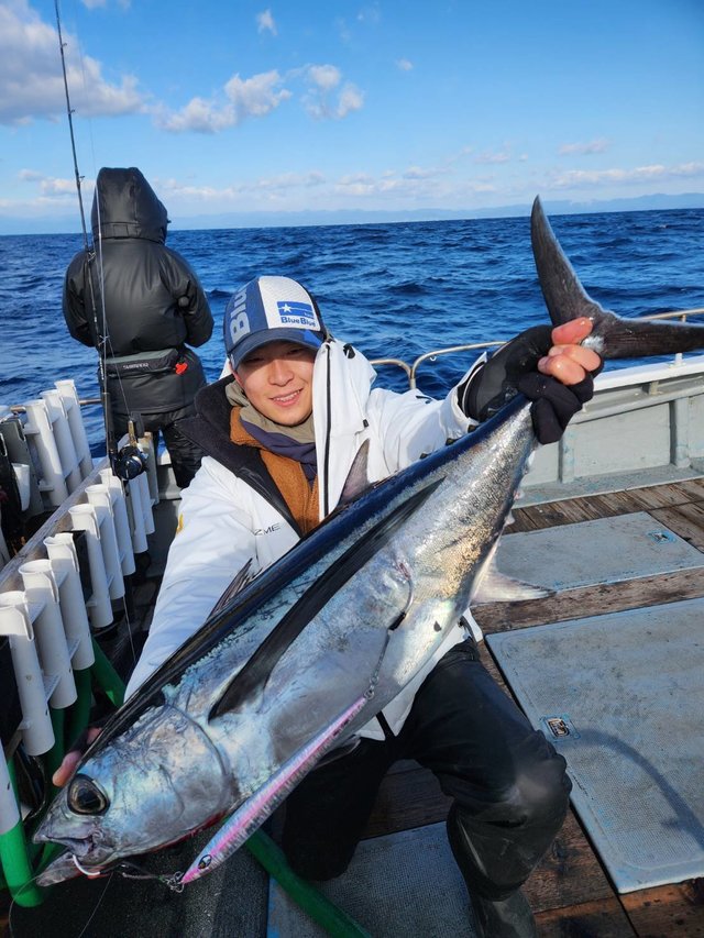 トンボ(ビンナガ)