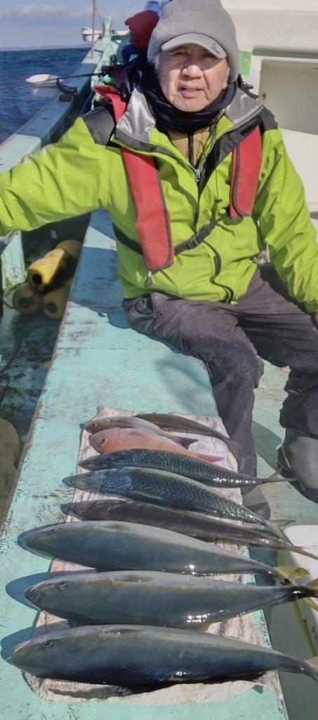 マダイ・アジ(マアジ)・イナダ(ブリ)・イサキ・サバ(ゴマサバ)