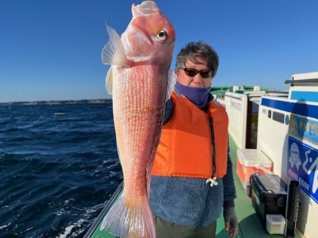 アマダイ(アカアマダイ)