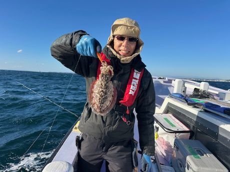 スミイカ(コウイカ)