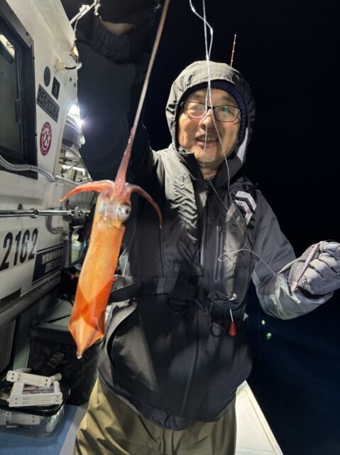 マイカ(ケンサキイカ)