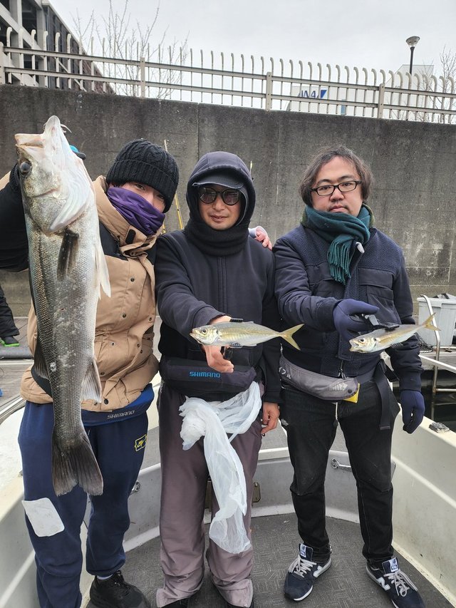 シーバス(スズキ)・アジ(マアジ)