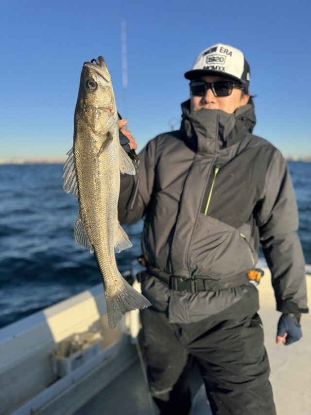 シーバス(スズキ)