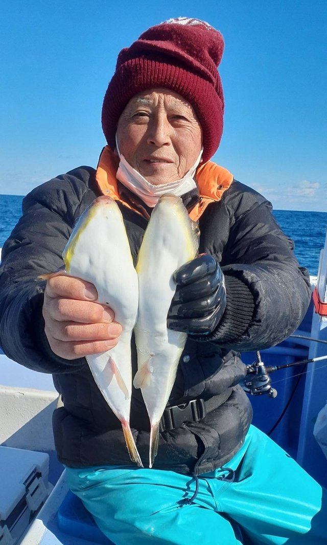 ショウサイフグ