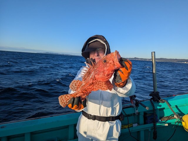 オニカサゴ(イズカサゴ)