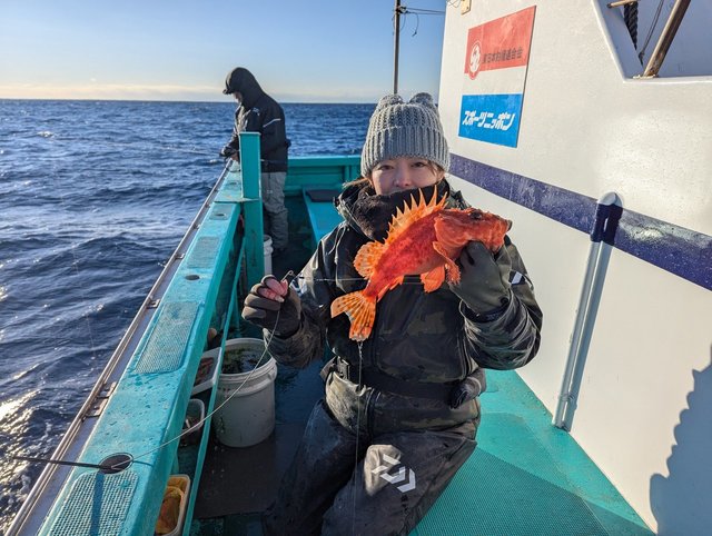 オニカサゴ(イズカサゴ)