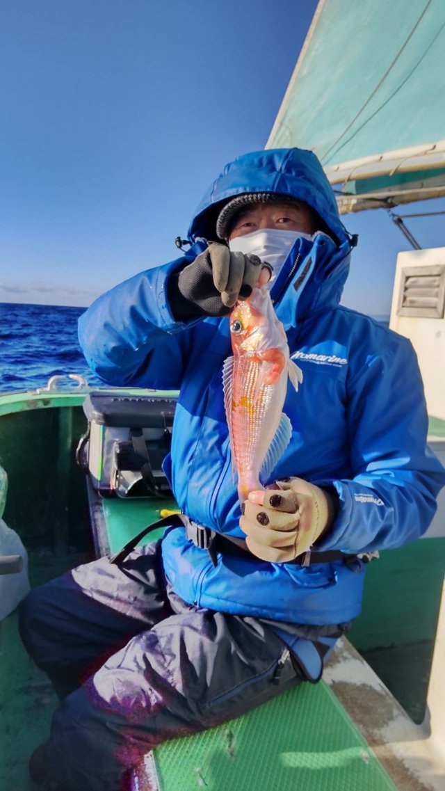 アマダイ(アカアマダイ)