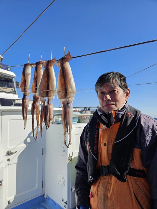 スルメ(スルメイカ)