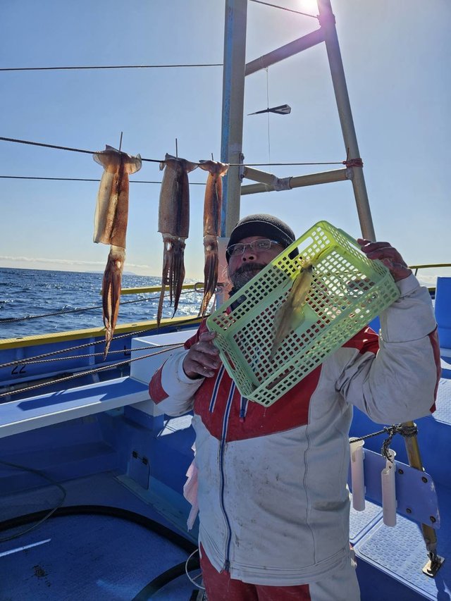 スルメ(スルメイカ)