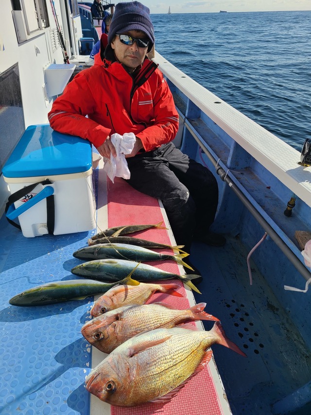 マダイ・イナダ(ブリ)