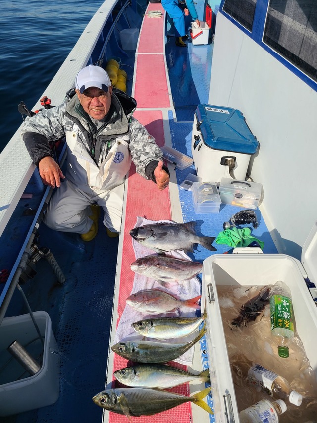 マダイ・マアジ