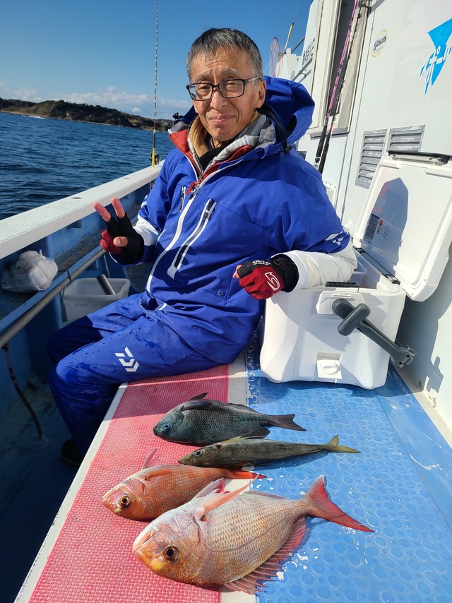 マダイ・マアジ