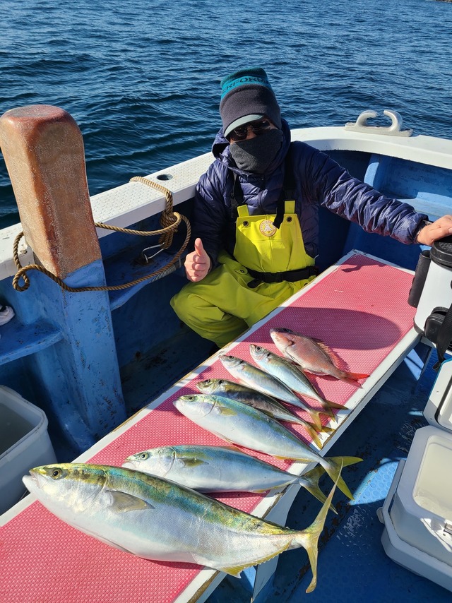 マダイ・マアジ・イナダ(ブリ)