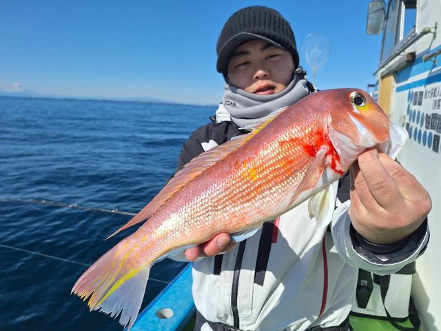 アマダイ(アカアマダイ)