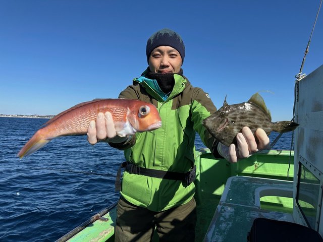 アマダイ(アカアマダイ)