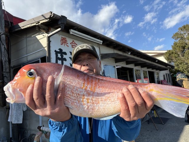 アマダイ(アカアマダイ)