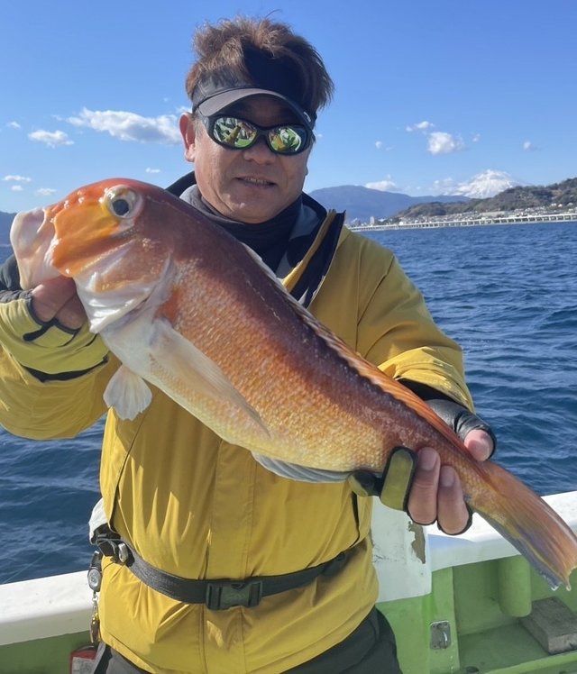 アマダイ(アカアマダイ)