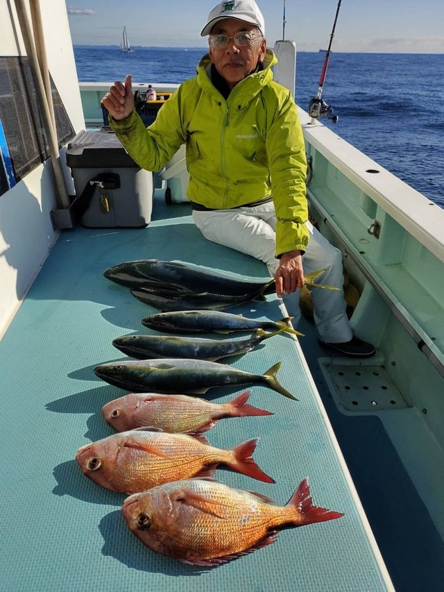 マダイ・イナダ(ブリ)