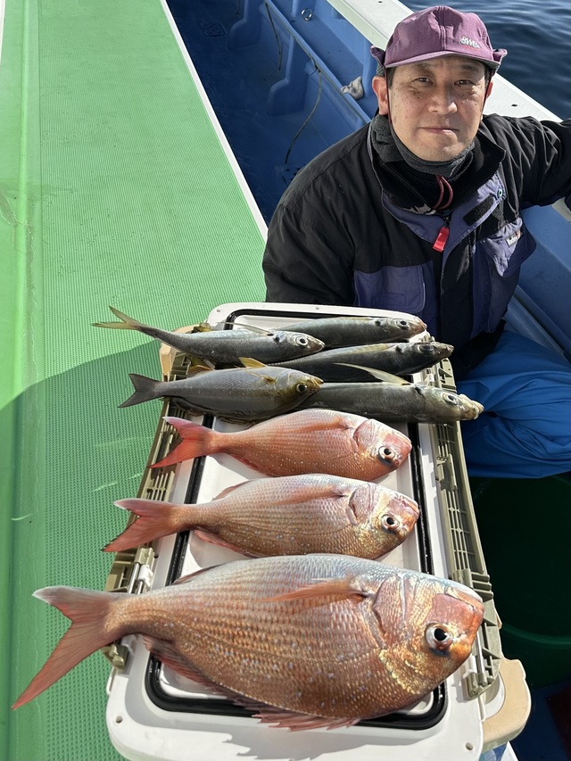 マダイ・マアジ