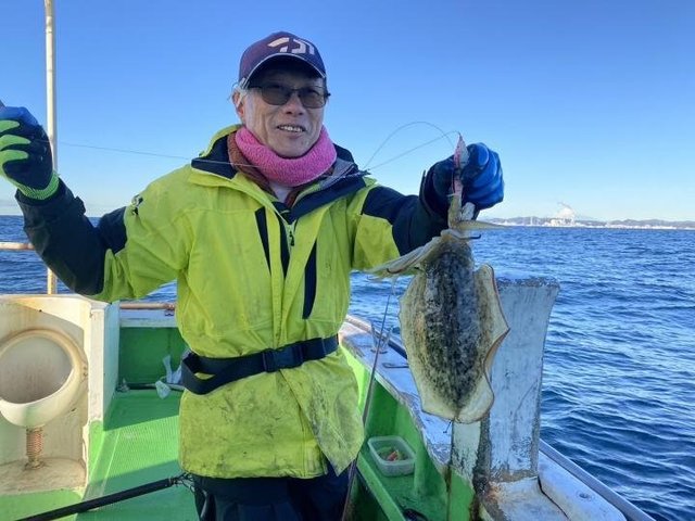 モンゴウ(カミナリイカ)