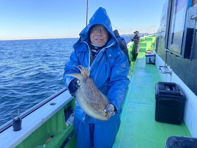 モンゴウ(カミナリイカ)