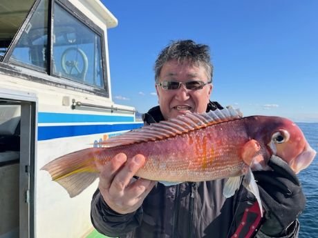 アマダイ(アカアマダイ)