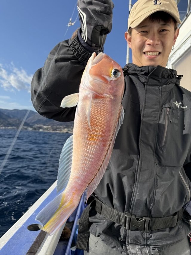 アマダイ(アカアマダイ)