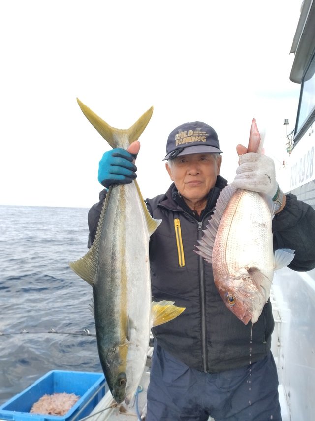 マダイ・ヒラマサ