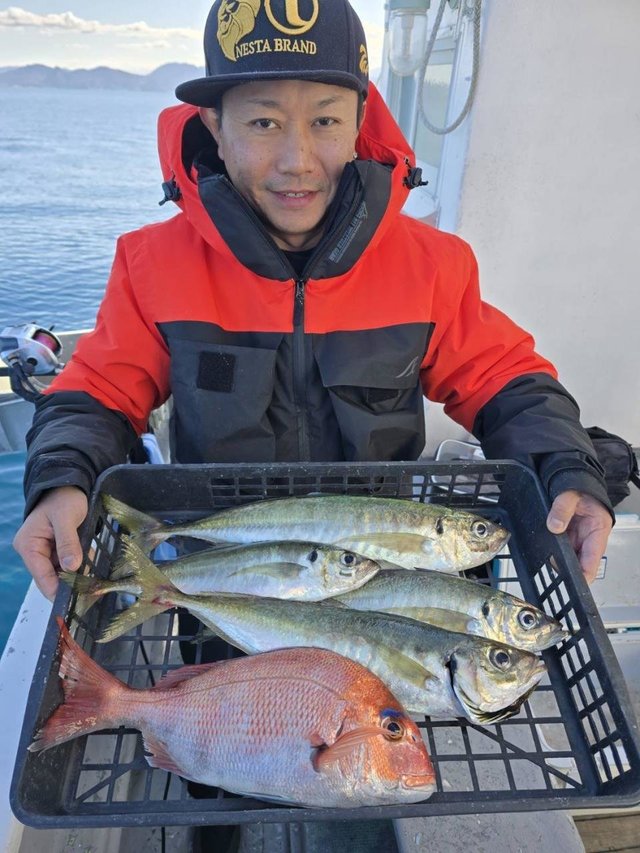 マダイ・アジ(マアジ)