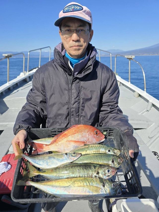 マダイ・アジ(マアジ)