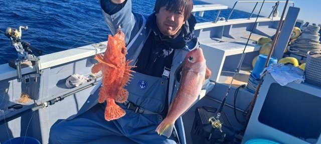 アマダイ(アカアマダイ)・ウッカリカサゴ