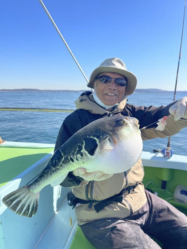 フグ(トラフグ)