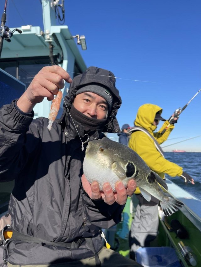 フグ(トラフグ)