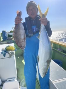 マダイ・ワラサ(ブリ)