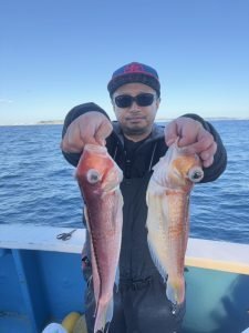 アマダイ(アカアマダイ)