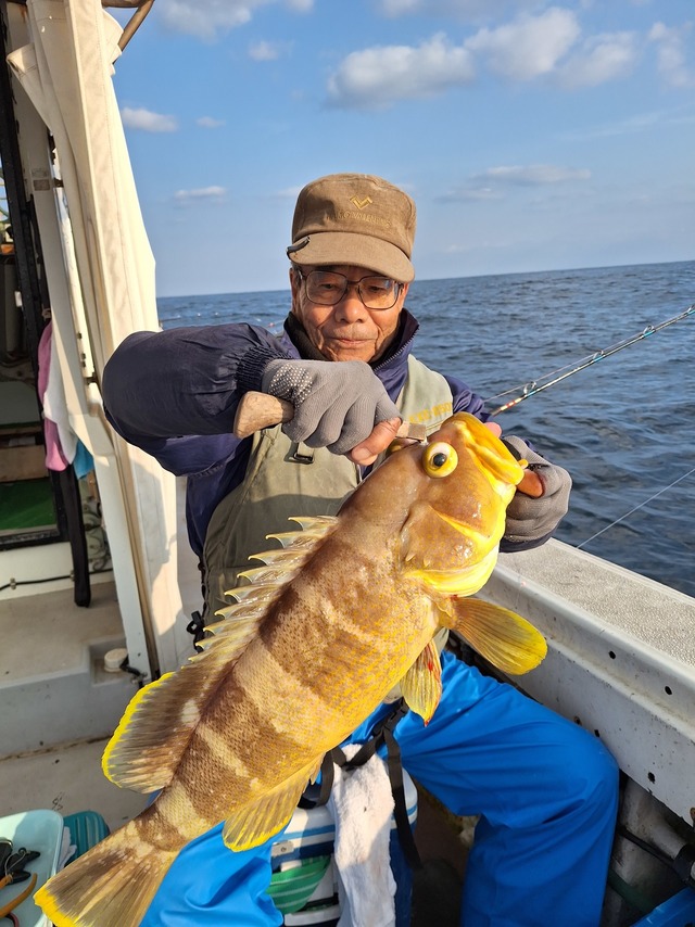 アオナ(アオハタ)